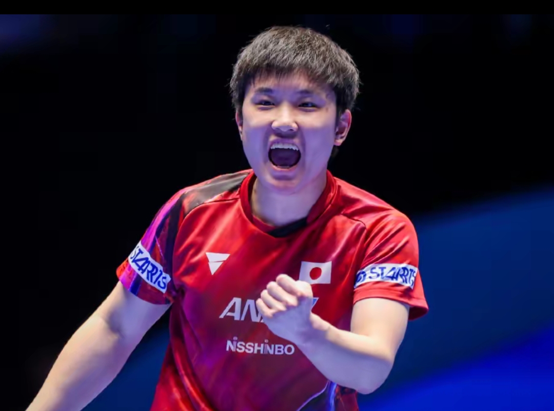 你需要我帮 你需要我帮