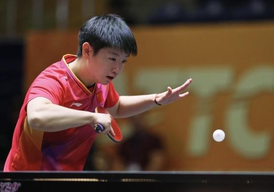 友谊的尊重 友谊的尊重